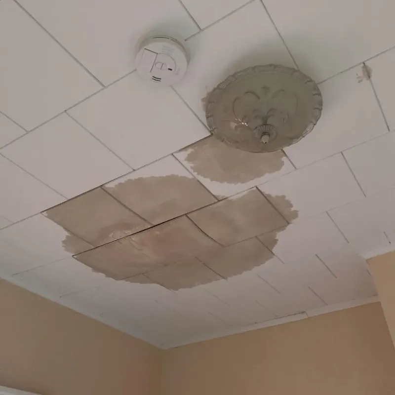 Ceiling Water Damage Repair in Pierz, MN