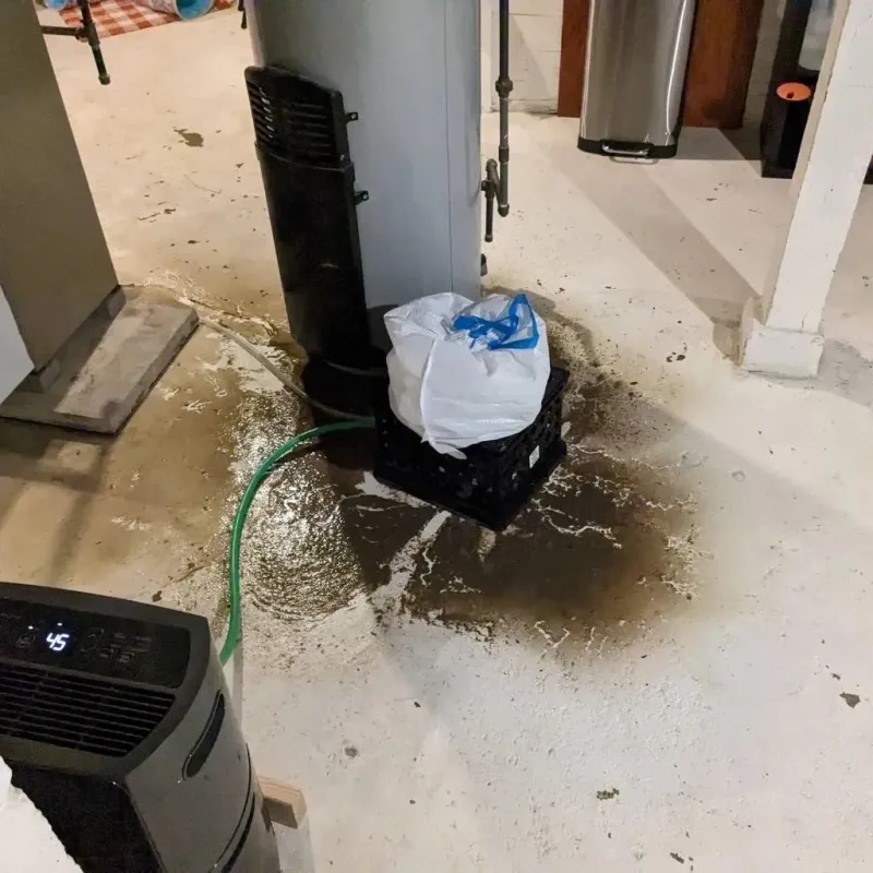 Sewage Backup Cleanup Service in Pierz, MN